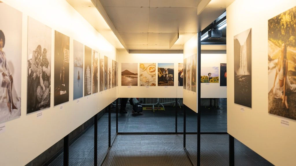 Single visitor reading a museum wall label in softly lit gallery